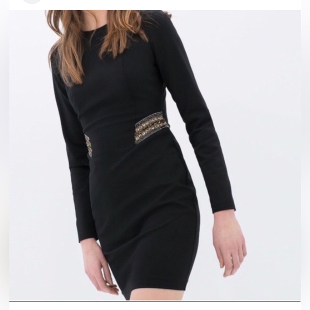 Zara Dresses/Zara Trafaluc Beaded Long Sleeve ✨brand new✨